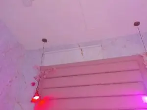 Cam4 Adult Webcams of Emma_Jhons