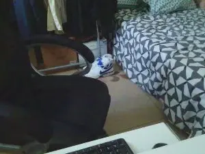 Cam4 Live Porn of Kevinareux60