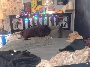 Cam4 Live Sex of Sugarsweetspice