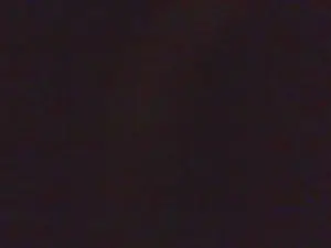 Cam4 Adult Webcam of Javierapalacios