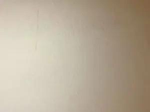 Cam4 Best Webcam of Javierapalacios