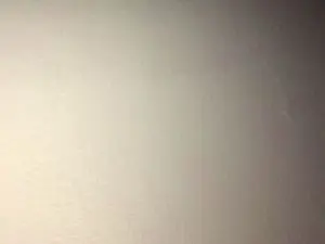 Cam4 Sex Cam of Javierapalacios