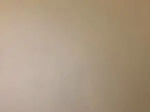 Cam4 Watch Live Sex Cams of Javierapalacios