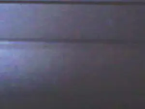 Cam4 Live Porn of BearContraste