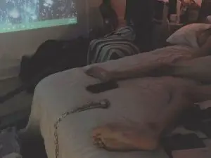 Cam4 Sex Chat of TJ_HoOkER