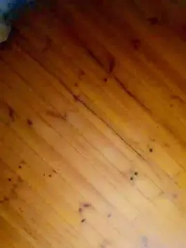 Cam4 Adult Video Chat of Ignacia196