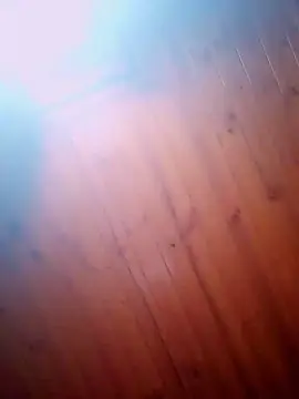 Cam4 Adult Video Chat of Ignacia196