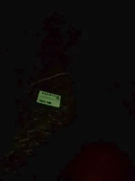 Cam4 Private Sex Chat of Ignacia196