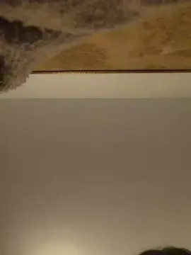 Cam4 Live Porn of anuell_xxx
