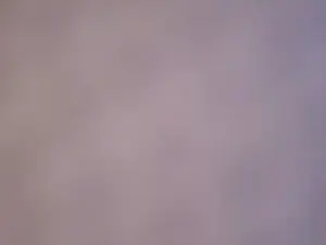 Cam4 Free Live Porn of popper4u