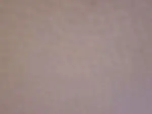 Cam4 Adult Webcams of popper4u