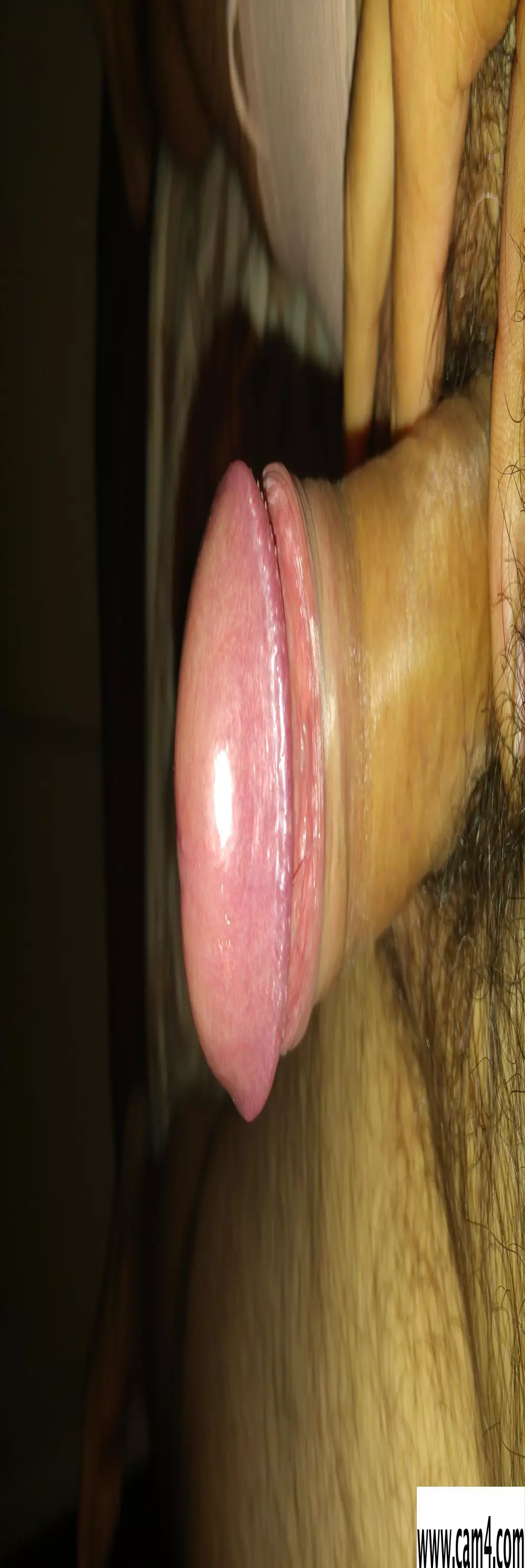 Martin_fant
