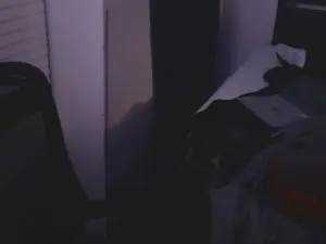 Cam4 Live Sex Cam of BigDaddyBossD