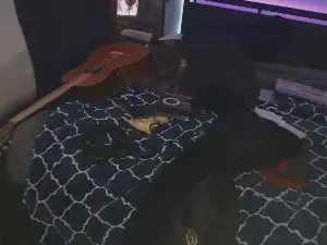 Cam4 Watch Live Sex Cams of BigDaddyBossD