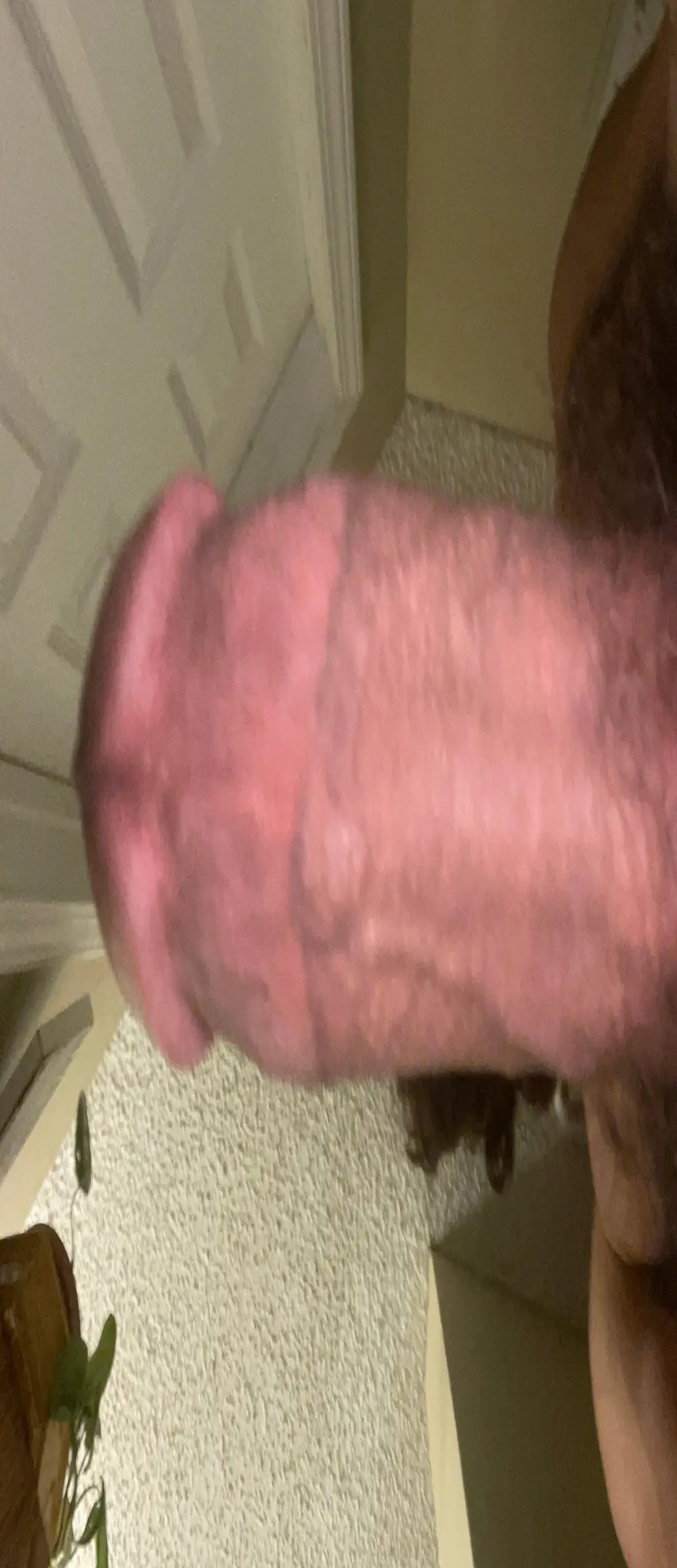 BigDjunior8