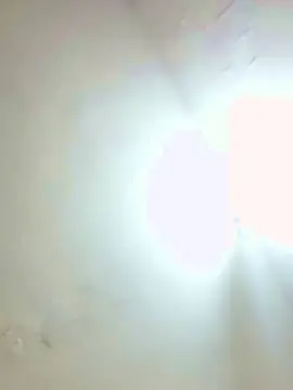 Cam4 Free Porn Cam of AlanTllz