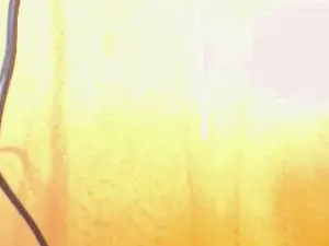 Cam4 Free Live Porn of pollonbig07