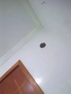 Cam4 Live Porn of Negaodorio21
