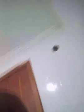 Cam4 Free Porn Cam of Negaodorio21