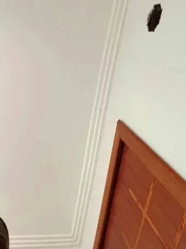 Cam4 Best live sex cam show of Negaodorio21