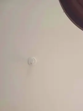 Cam4 Live Porn of Dvolta00