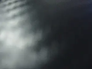 Cam4 Nude Webcam of TigerT