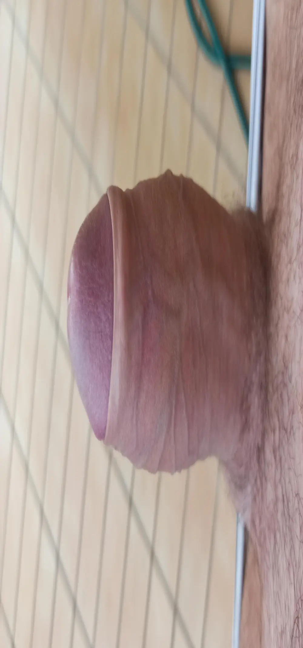 Hardissimo313