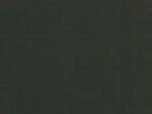 Cam4 Best live sex cam show of beefy_man