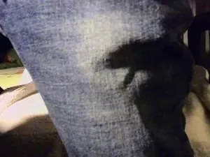 Cam4 Live Sex of LATTEFRESCO