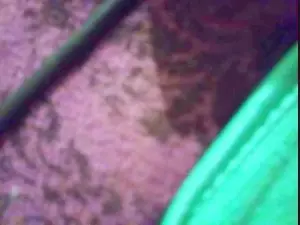 Cam4 Live Porn of SmallHairyUncut