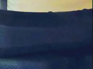 Cam4 Nude Webcam of SmallHairyUncut