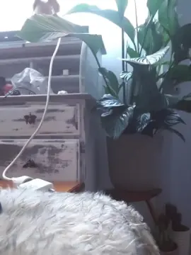 Cam4 Free Porn Cam of Chaudkoala