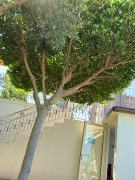 Cam4 Best live sex cam show of Mazzetta1988