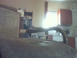 Cam4 Watch Live Sex Cams of antpa803