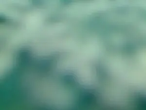 Cam4 Live Porn of Strolchibaer