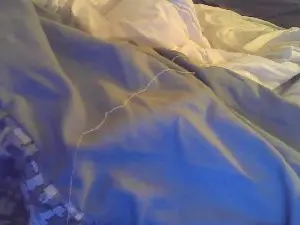 Cam4 Best Webcam of Seven3333