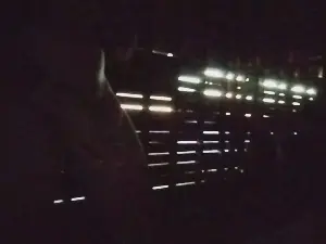 Cam4 Sex Cam of fer19_hot