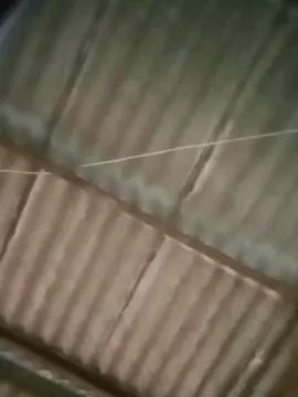 Cam4 Sex Chat of Keketud