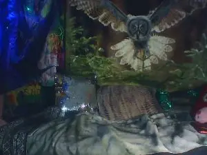 Cam4 Private Sex Chat of biteme69691