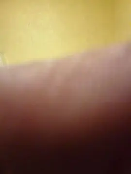 Cam4 Free Live Porn of toto241