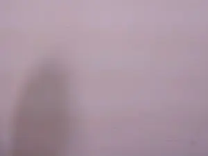Cam4 Private Sex Chat of Dietilamida
