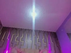 Cam4 Live Sex of Denin_rose