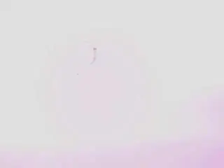 Camsoda Adult Webcam of ladymooncs