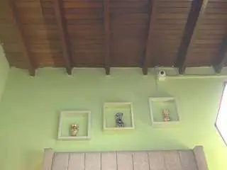 Camsoda Watch Live Sex Cams of pattymm