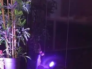 Camsoda Live Sex Cam of helenceccile