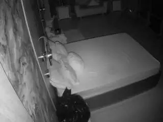 Camsoda Adult Webcam of voyeurcam-casa-salsa-bathroom-6