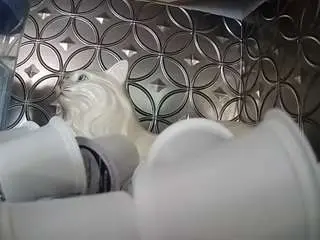 Camsoda Adult Webcams of voyeurcam-bridgetleewalters-02