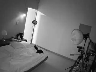 Camsoda Adult Webcams of voyeurcam-jb-room-2