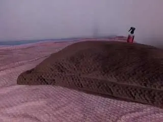 Camsoda Nude Webcam of ariafoster