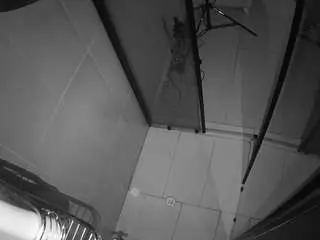 Camsoda Live Porn of voyeurcam-jb-shower-2